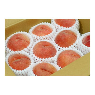 【ふるさと納税】【2026年発送】フルーツ王国　長野県信州直送　白桃　約2kg(3～8玉)【配送不可地域：離島】【1577368】 サムネイル3