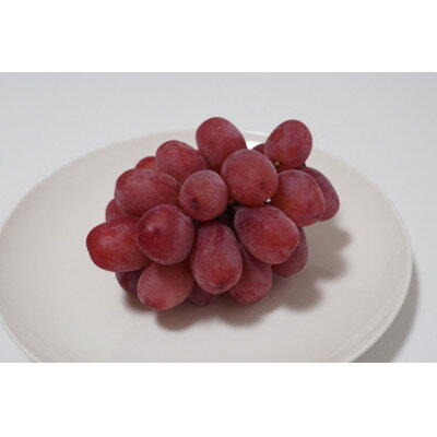 2025年発送　長野限定　　産地直送　クイーンルージュ(赤ぶどう)1房(約400～800g)_ ぶどう ブドウ 葡萄 長野県 中野市 種なし 皮ごと 赤ぶどう クイーンルージュ 1房 甘い 果物 くだもの フルーツ 国産 産地直送 送料無料 【配送不可地域：離島】【1577387】