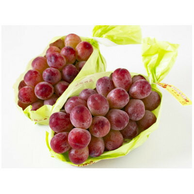 【ふるさと納税】2025年発送　長野限定　　産地直送　クイーンルージュ(赤ぶどう)1房(約400～800g)_ ぶどう ブドウ 葡萄 長野県 中野市 種なし 皮ごと 赤ぶどう クイーンルージュ 1房 甘い 果物 くだもの フルーツ 国産 産地直送 送料無料 【配送不可地域：離島】【1577387】 サムネイル3