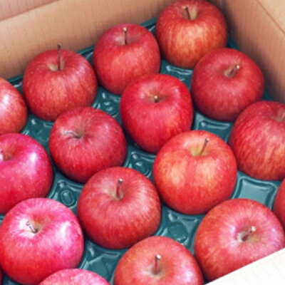 【ふるさと納税】【家庭用】りんごの王様　長野県産 りんご　サンふじ　約2kg(3～6玉程度)_ りんご 林檎 果物 フルーツ くだもの 人気 おすすめ 送料無料 産地直送 長野 信州 サンふじ 【1577414】 サムネイル3