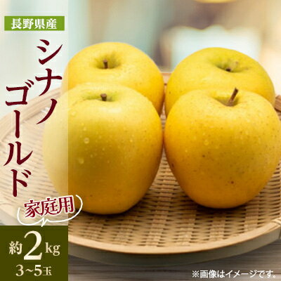 【家庭用】【2025年発送】 長野県産 りんご シナノゴールド 約2kg(3～5玉程度)【1577423】