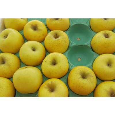 【ふるさと納税】【家庭用】【2025年発送】 長野県産 りんご シナノゴールド 約2kg(3～5玉程度)【1577423】 サムネイル3