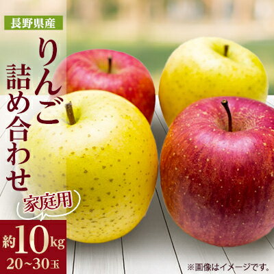 家庭用【2025年発送】 りんご サンふじ&シナノゴールド 詰め合わせ 約10kg(20～30玉)【1577938】