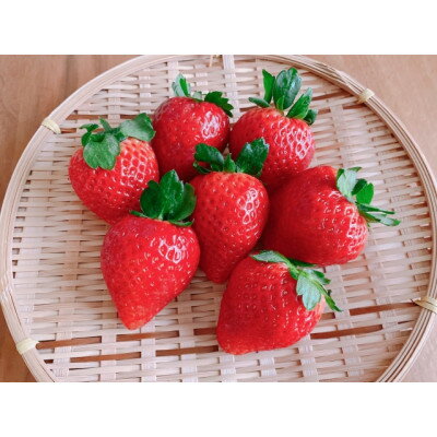 【ふるさと納税】【2026年発送】長野県産　いちご　紅ほっぺ　1パック【約250g～300g】【配送不可地域：離島】【1603733】 サムネイル2