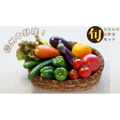 信州中野の 旬の新鮮野菜セット【野菜詰め合わせ】2kg以内【配送不可地域：離島】【1644930】
