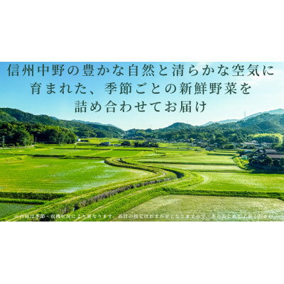 【ふるさと納税】信州中野の 旬の新鮮野菜セット【野菜詰め合わせ】2kg以内【配送不可地域：離島】【1644930】 - 画像2
