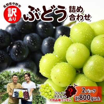 【2026年先行予約】訳あり ぶどう 房 2種 食べ比べ 計2パック(計800g以上) 信州丸幸農園【配送不可地域：離島・沖縄県】【1671026】
