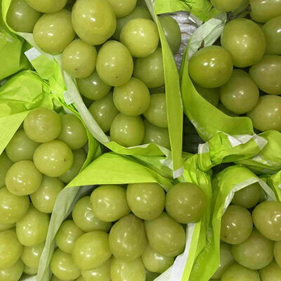 【ふるさと納税】【発送月固定定期便】2026年発送 長野の果物 桃+シャインマスカット+サンふじ全3回_ 桃 シャインマスカット サンふじ りんご 林檎 もも ぶどう 葡萄 長野県 定期便 全3回 果物 くだもの フルーツ 贈答 ギフト 送料無料 【配送不可地域：離島】【4063511】 サムネイル3