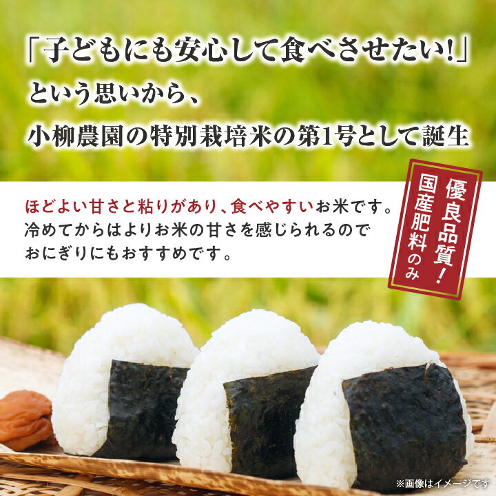 【ふるさと納税】小柳農園の特別栽培米コシヒカリ15kg(5kg×3)_ コメ 米 こめ おこめ お米 こしひかり 特別栽培米 人気 おすすめ 送料無料 産地直送 【1204307】 - 画像2
