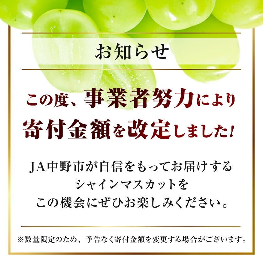 【ふるさと納税】【2026年発送】シャインマスカット 1房/2房/4房(700g以上/1kg以上/2kg以上)_ シャインマスカット 日本農業賞大賞 受賞 マスカット ふるさと 長野県 フルーツ 果物 くだもの ぶどう ブドウ 【配送不可地域：離島】【G1272457】 サムネイル2