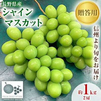 「産地より信州中野の旬をお届け」 シャインマスカット　贈答用　約1kg　【配送不可地域：離島】【1311083】