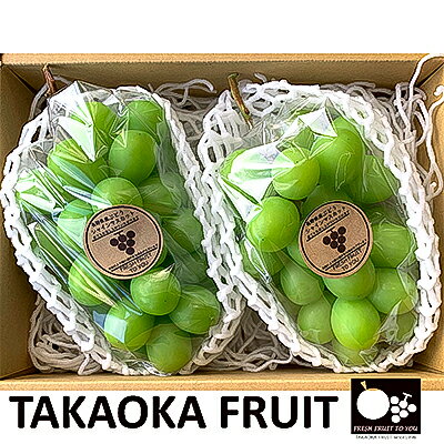 【ふるさと納税】「産地より信州中野の旬をお届け」 シャインマスカット　贈答用　約1kg　【配送不可地域：離島】【1311083】 サムネイル2