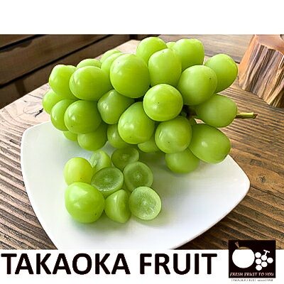 【ふるさと納税】「産地より信州中野の旬をお届け」 シャインマスカット　贈答用　約1kg　【配送不可地域：離島】【1311083】 サムネイル3