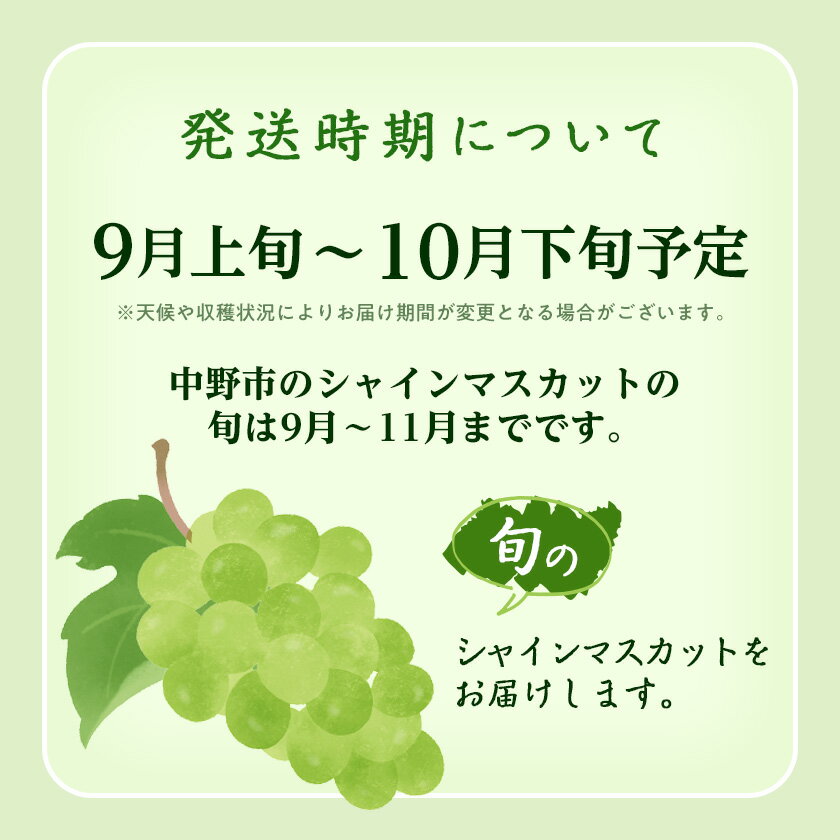 【ふるさと納税】2026年先行予約　9月上旬～10月下旬発送JA中野市大粒 大房シャインマスカット2房1.3kg以上_ シャインマスカット 長野県 2024 4L 贈答用 ギフト ふるさと ぶどう 葡萄 ブドウ フルーツ 果物 【配送不可地域：離島】【1459211】 - 画像2