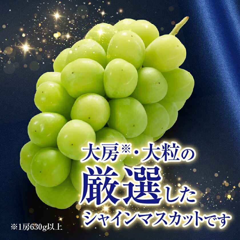 【ふるさと納税】2026年先行予約　9月上旬～10月下旬発送JA中野市大粒 大房シャインマスカット2房1.3kg以上_ シャインマスカット 長野県 2024 4L 贈答用 ギフト ふるさと ぶどう 葡萄 ブドウ フルーツ 果物 【配送不可地域：離島】【1459211】 サムネイル2
