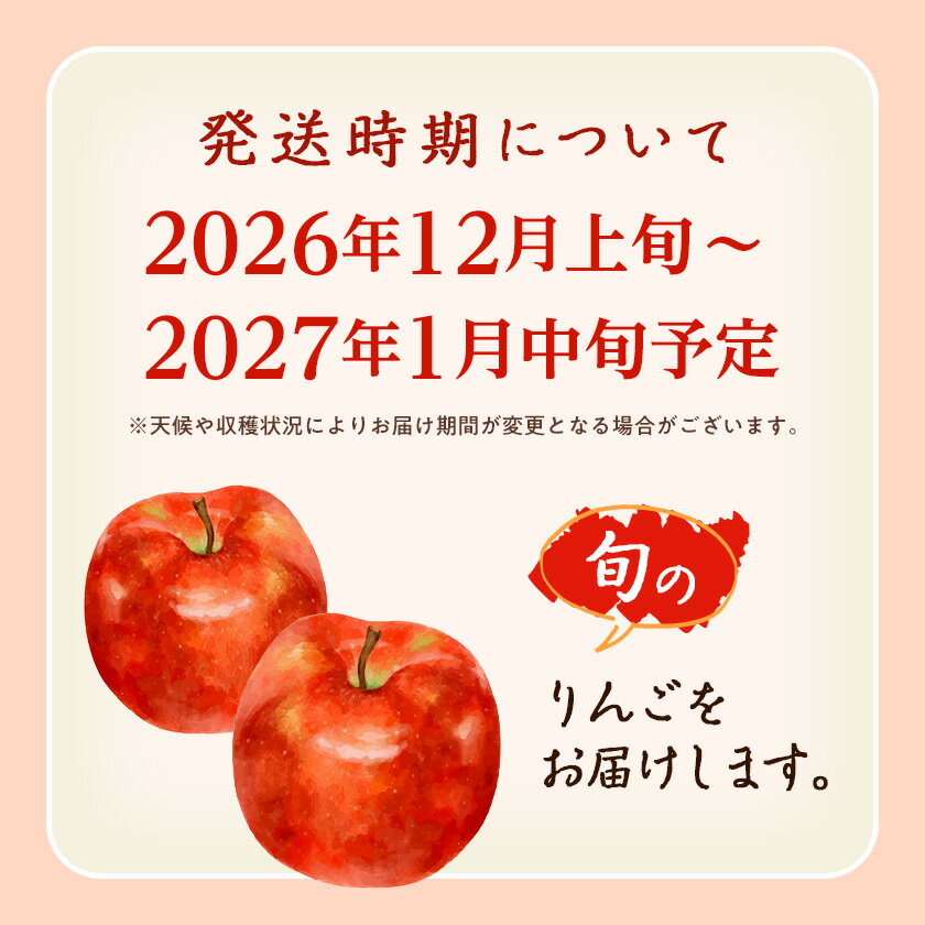 【ふるさと納税】【先行予約】JA中野市 「サンふじ」ご家庭用 訳あり「小玉」 5kg以上(18～23玉入)_ りんご リンゴ 林檎 ふじ フジ サンフジ サンふじ 小玉 家庭用 フルーツ 果物 くだもの 青果 デザート長野県 中野市 JA 産地直送 産直 濃厚 蜜入り 【1526204】 - 画像2