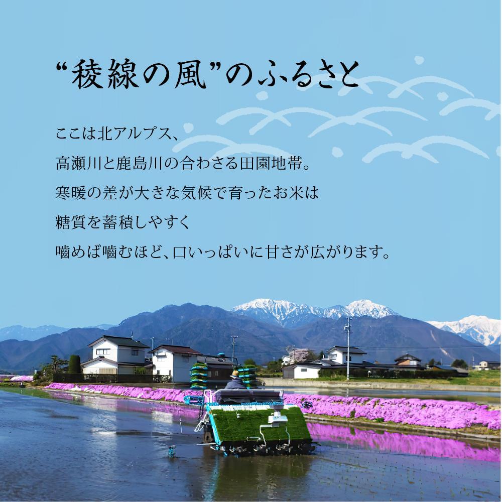 【ふるさと納税】特別栽培米　稜線の風（あきたこまち）玄米 30kg - 画像2