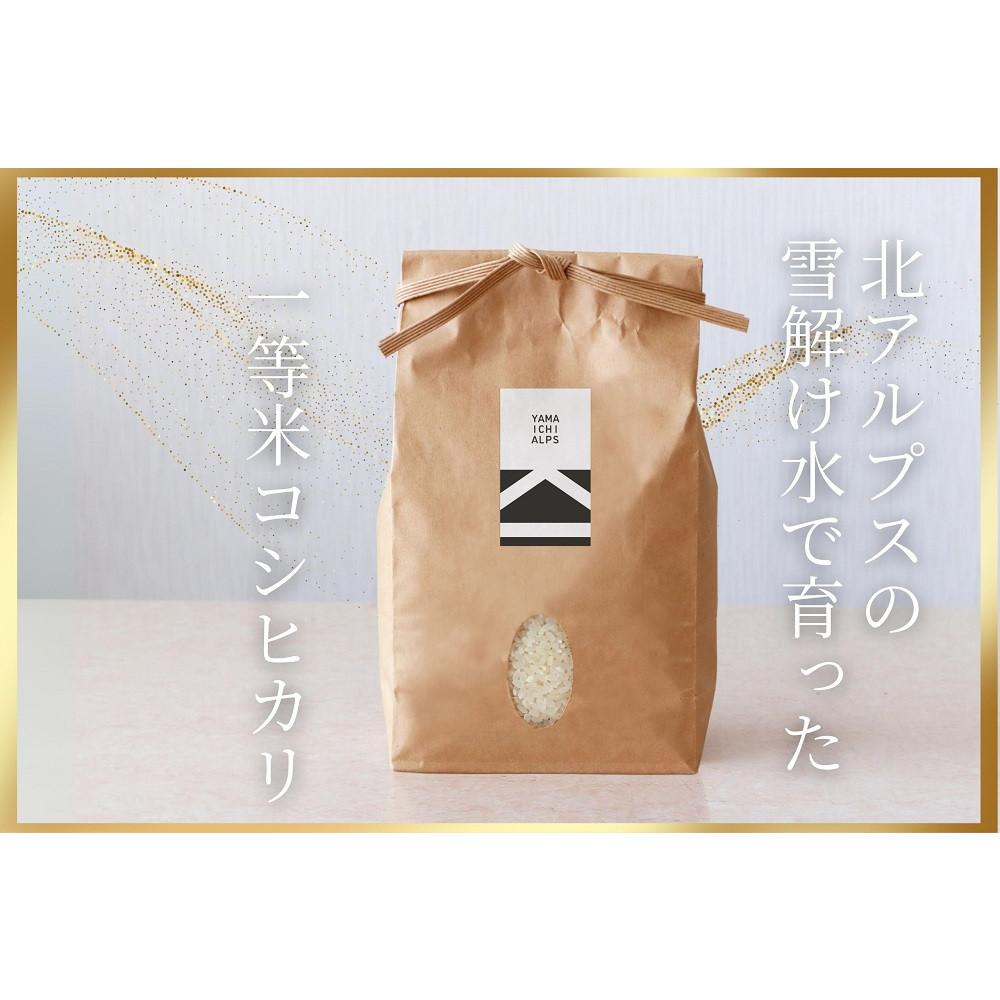 北アルプスの雪解け水で育った一等米コシヒカリ　5KG／10KG／30KG／【定期便】5KG×3回 | 新米 産地直送 人気 おすすめ コシヒカリ 白米 低農薬 ふっくら 甘み ご飯 和食 ギフト 贈答用 保存しやすい 送料無料 長野県 大町市 ふるさと納税