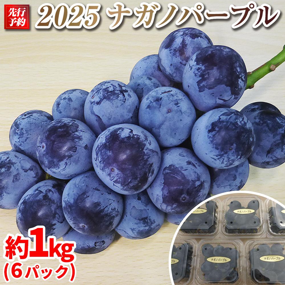 【先行予約】2025　P　ナガノパープル　粒採り6パック　約1キロ　長野県産 【9月下旬頃～順次発送予定】国際特許有機肥料栽培 | フルーツ 果物 くだもの 食品 人気 おすすめ ぶどう ブドウ 食べきりサイズ 人気 送料無料 長野県 大町市