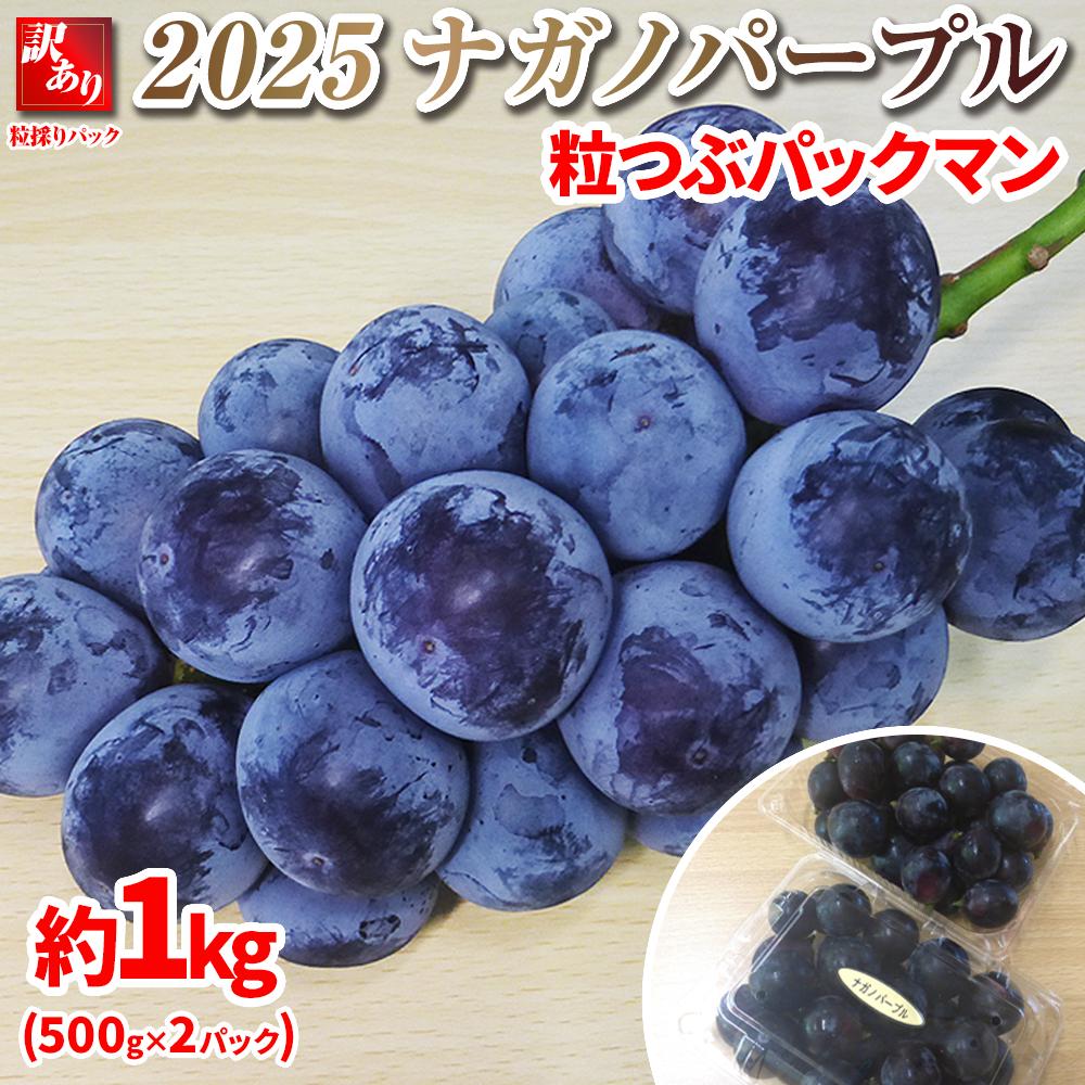 【先行予約】2025　ナガノパープル　粒つぶパックマン【訳ありパック】2パック　約1キロ　長野県産 【10月初旬頃～順次発送予定】国際特許有機肥料栽培 | フルーツ 果物 くだもの 食品 人気 おすすめ 送料無料
