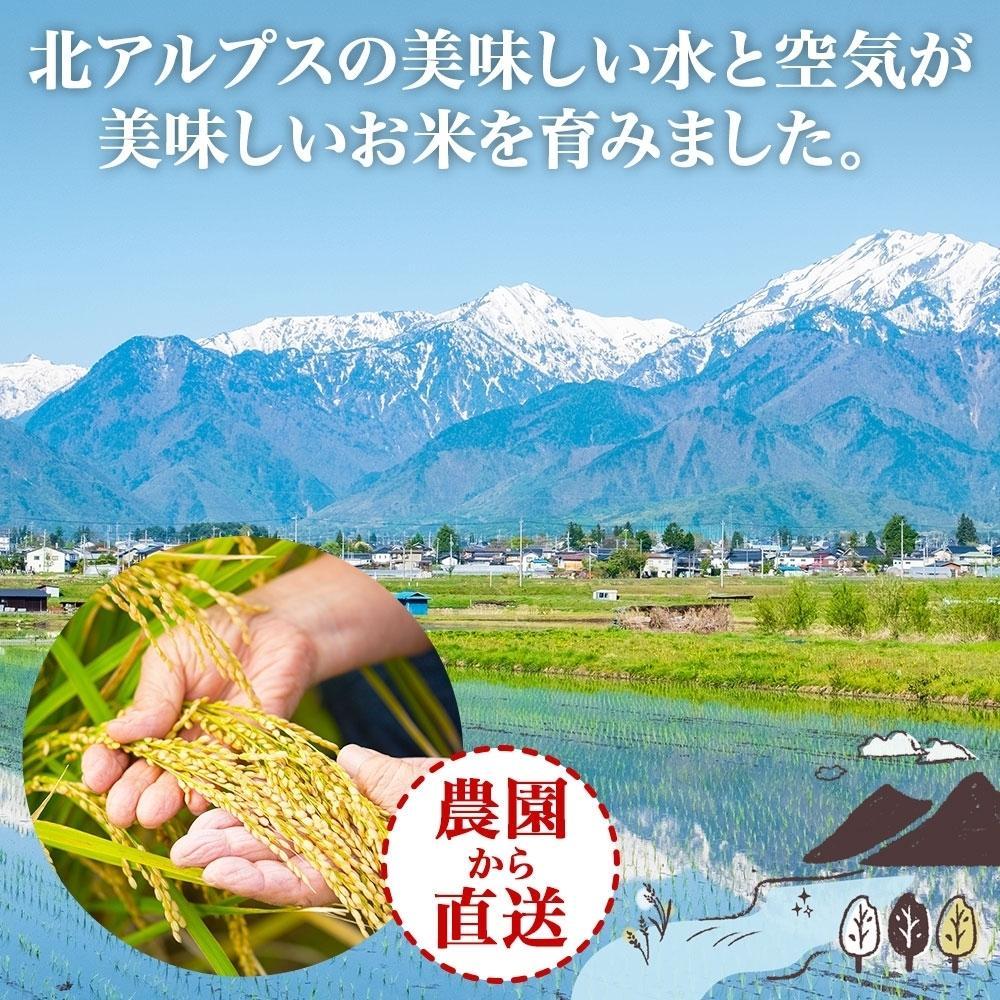 【ふるさと納税】令和7年産 コシヒカリ 無洗米 5kg×1袋 長野県産 米 白米 精米 お米 ごはん ライス 甘み 農家直送 産直 信州 人気 ギフト 時短 お取り寄せ 平林農園 送料無料 長野県 大町市 | お米 こめ 白米 食品 - 画像3