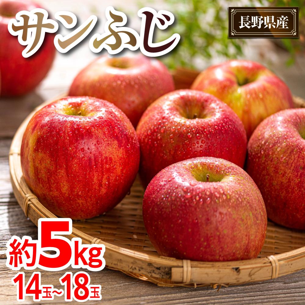 【2025年内即日発送】2025 サンふじ 約5キロ 長野県産　国際特許有機肥料栽培 | ｜果物 サンふじ りんご 長野県産 人気 おすすめ フルーツ スイーツ 朝食 美容 健康 送料無料 長野県 大町市 ふるさと納税