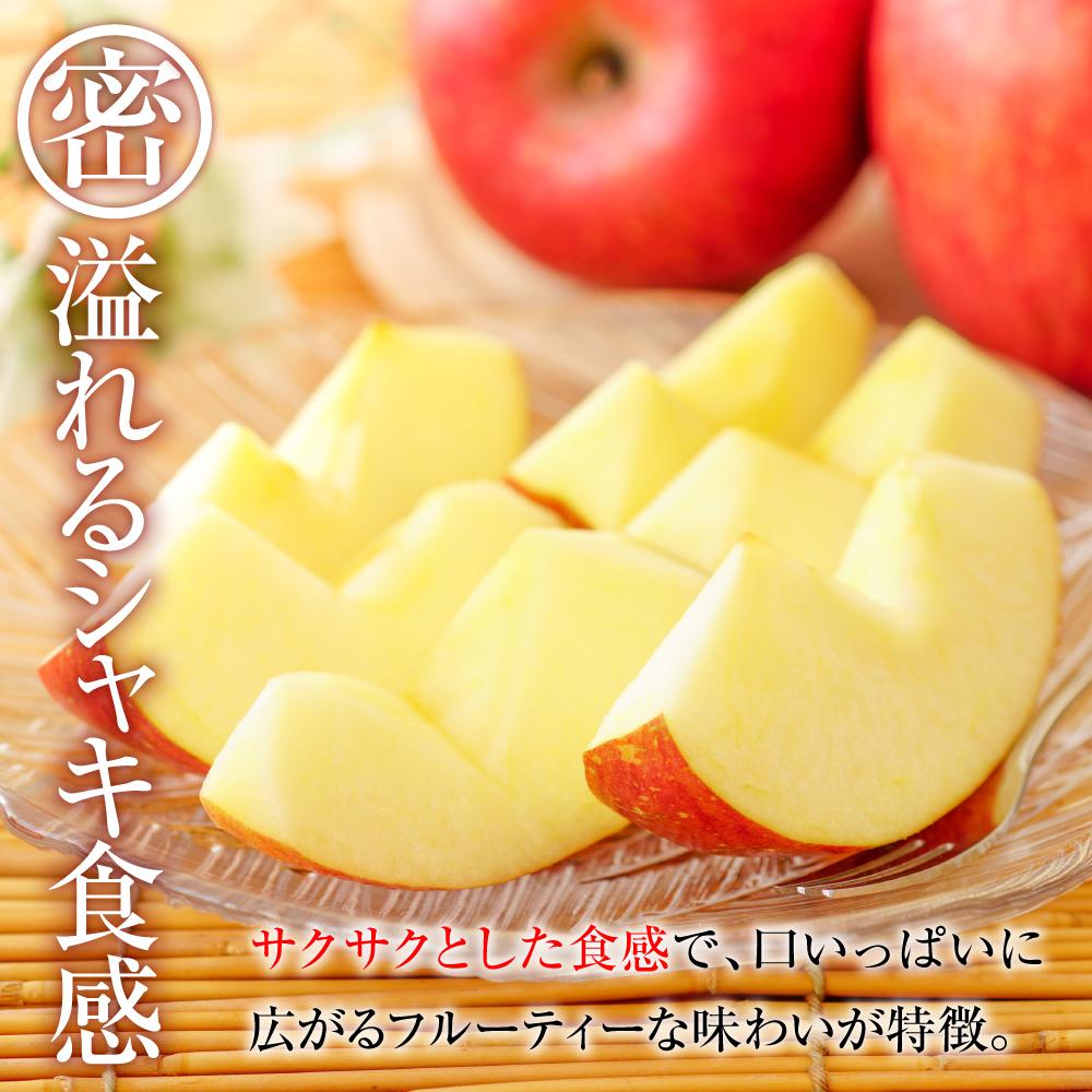 【ふるさと納税】【2025年内即日発送】2025 サンふじ 約5キロ 長野県産　国際特許有機肥料栽培 | ｜果物 サンふじ りんご 長野県産 人気 おすすめ フルーツ スイーツ 朝食 美容 健康 送料無料 長野県 大町市 ふるさと納税 サムネイル2
