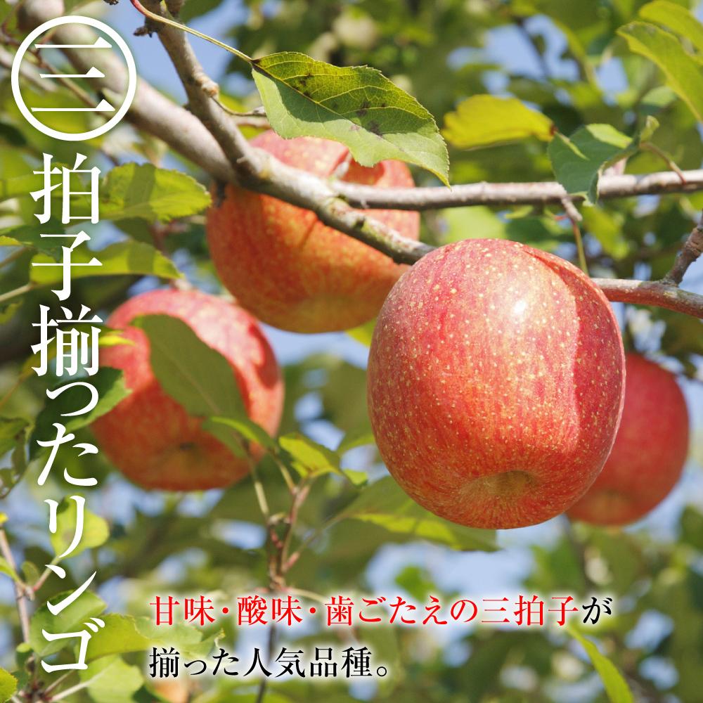 【ふるさと納税】【2025年内即日発送】2025 サンふじ 約5キロ 長野県産　国際特許有機肥料栽培 | ｜果物 サンふじ りんご 長野県産 人気 おすすめ フルーツ スイーツ 朝食 美容 健康 送料無料 長野県 大町市 ふるさと納税 サムネイル3