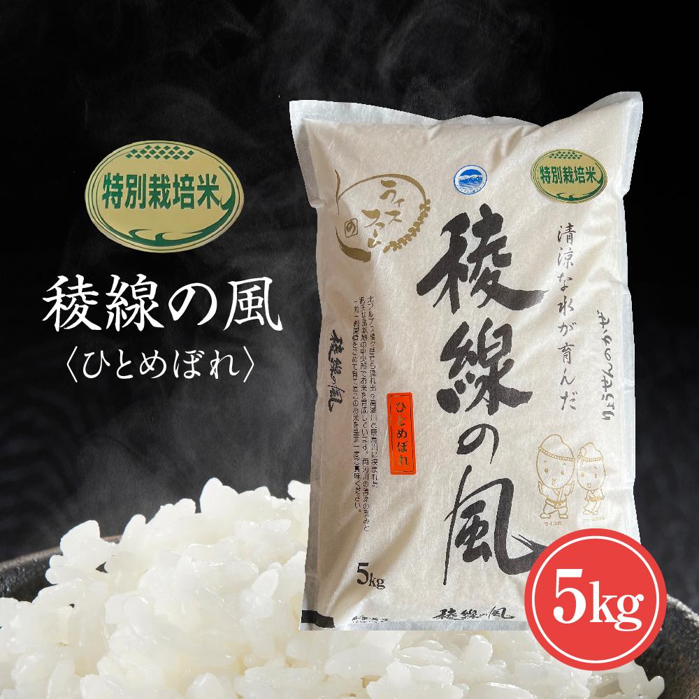 特別栽培米 稜線の風（ひとめぼれ） 5kg | 長野県大町市 長野 長野県 大町 大町市 信州 ふるさと 納税 楽天ふるさと納税 支援 支援品 返礼品 お礼の品 返礼 特産品 特産 米 こめ コメ お米 おこめ ごはん ご飯 特別栽培米 減農薬 ひとめぼれ 精米 精米5kg