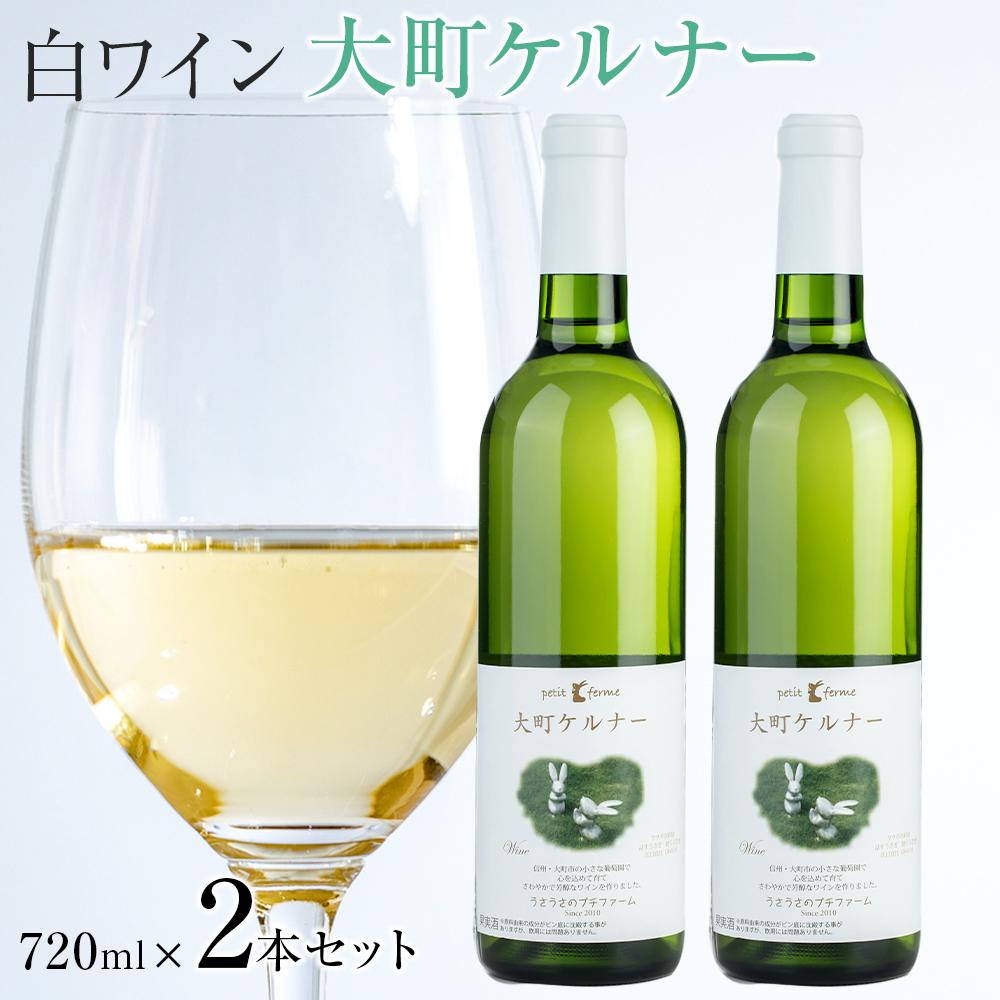 酒 ワイン 白ワイン セット 2本 × 720ml 長野県産 | ｜ワイン 白ワイン ケルナー 大町産 国産ワイン 人気 おすすめ 酒 アルコール フルーティー 食中酒 ギフト プレゼント 高級感 保存食 送料無料 長野県 大町市 ふるさと納税