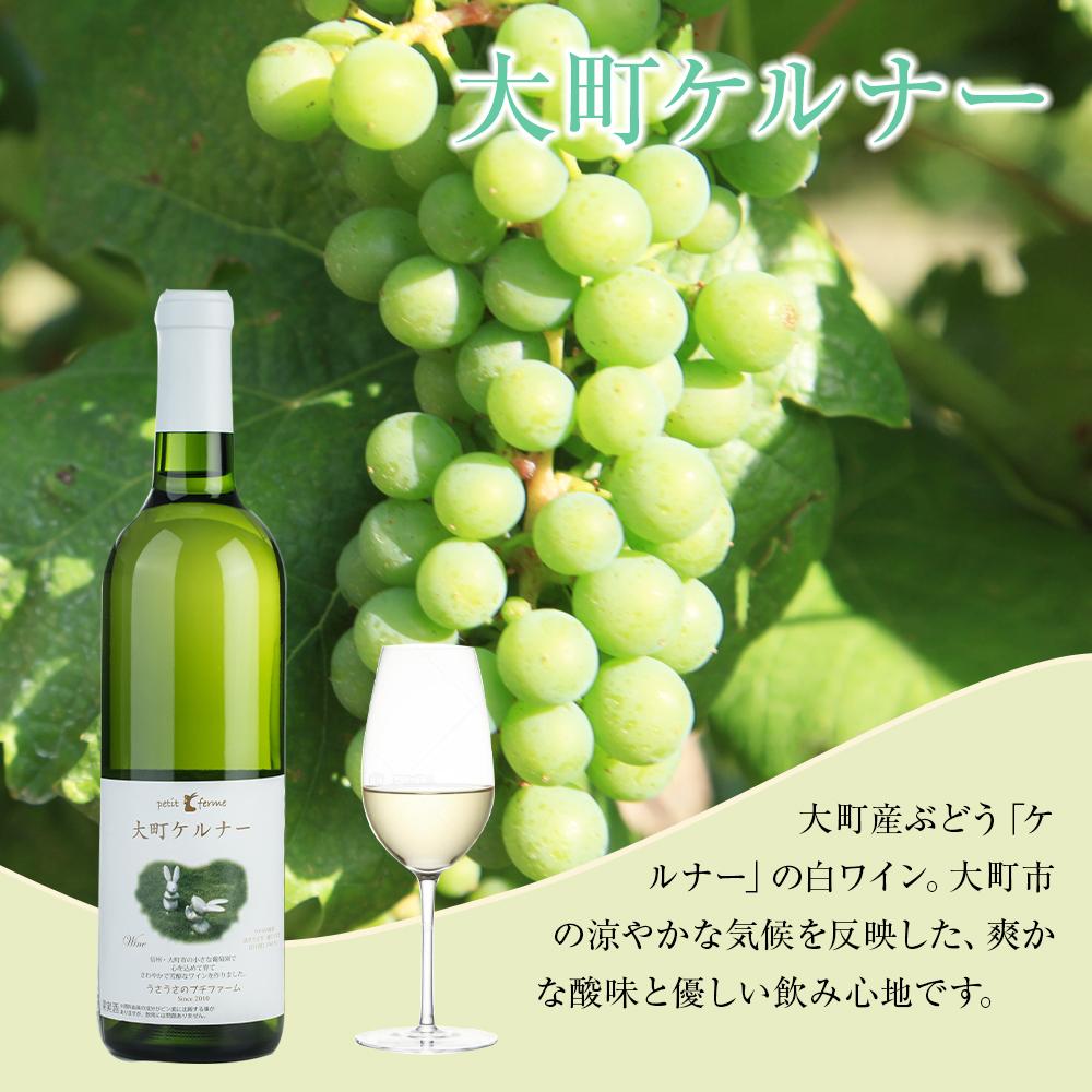 【ふるさと納税】酒 ワイン 白ワイン セット 2本 × 720ml 長野県産 | ｜ワイン 白ワイン ケルナー 大町産 国産ワイン 人気 おすすめ 酒 アルコール フルーティー 食中酒 ギフト プレゼント 高級感 保存食 送料無料 長野県 大町市 ふるさと納税 サムネイル2