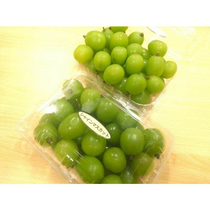 【ふるさと納税】B 2025 シャインマスカット　粒つぶパックマン【訳ありパック】 2パック　約1キロ　長野県産【10月初旬頃～順次発送予定 】国際特許有機肥料栽培 | フルーツ 果物 くだもの 食品 人気 おすすめ 送料無料 サムネイル2