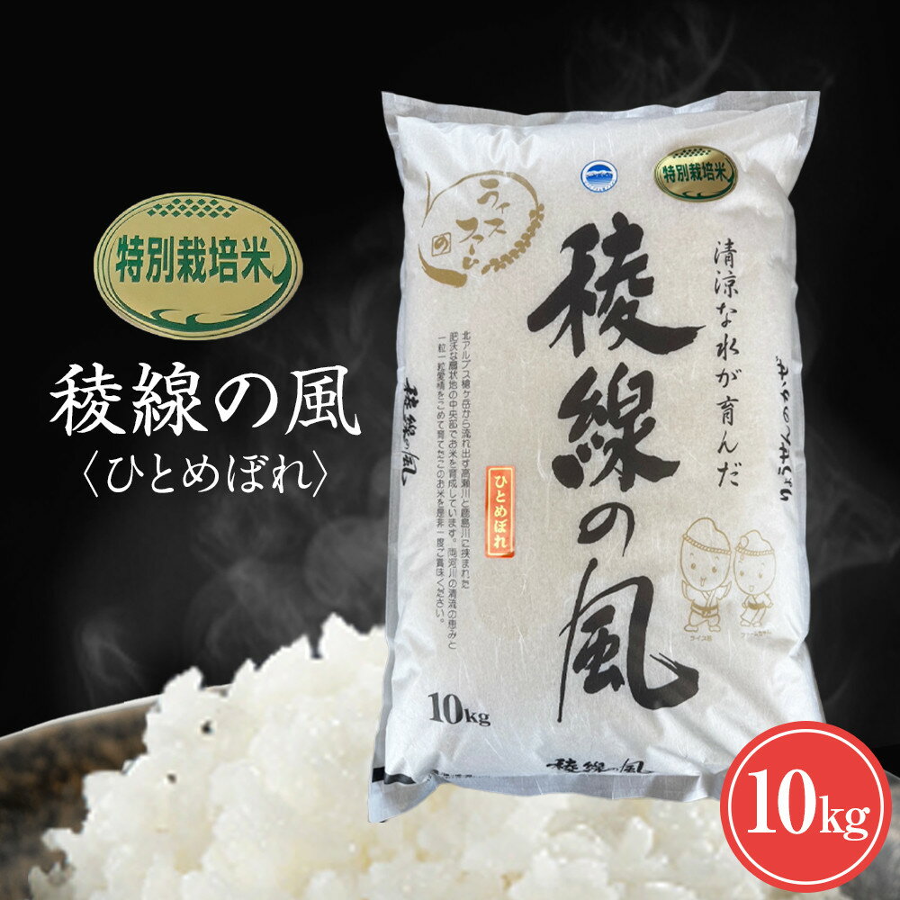 【信濃大町産】特別栽培米　稜線の風（ひとめぼれ） 10kg | お米 こめ 白米 食品 人気 おすすめ 送料無料
