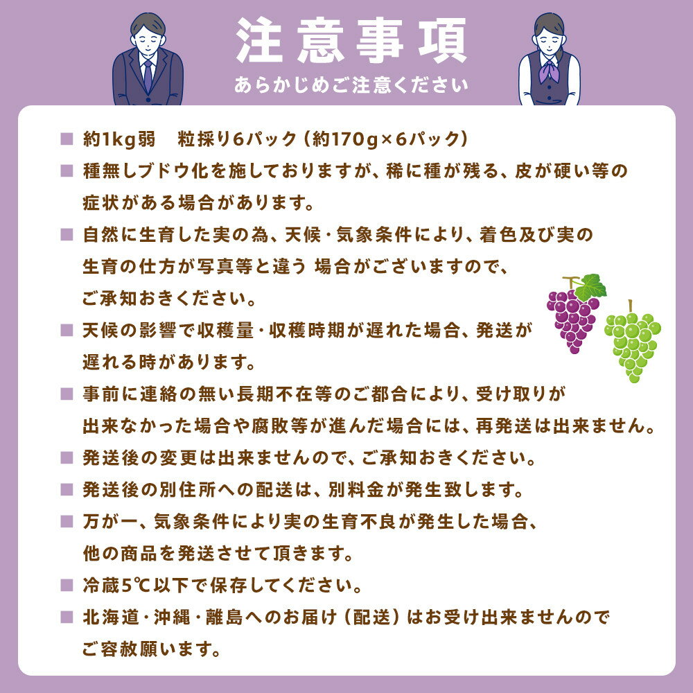 【ふるさと納税】【先行予約】2026 シャインマスカット　2房～3房　約1kg弱【選べる配送時期】長野県産 　国際特許有機肥料栽培 | 果物 フルーツ ぶどう ブドウ シャインマスカット 高糖度 種なし 人気 おすすめ ギフト 送料無料 長野県 大町市 - 画像3