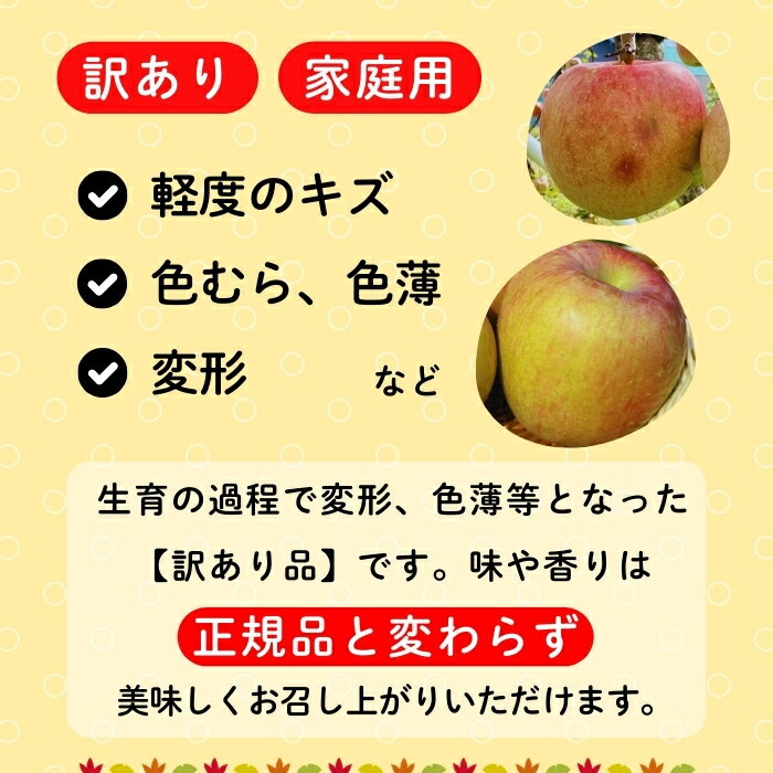 【ふるさと納税】【先行予約】【訳あり】サンふじ 信州 りんご選べる3kg 5kg 10kg ＜出荷時期：2025年12月中旬ごろ〜＞（2025年産） (7-A39-1-2-3)【 りんご フルーツ 長野県 飯山市 甘味 酸味 リンゴ 林檎 くだもの 果物 ギフト プレゼント わけあり 訳あり 規格外 】 サムネイル2