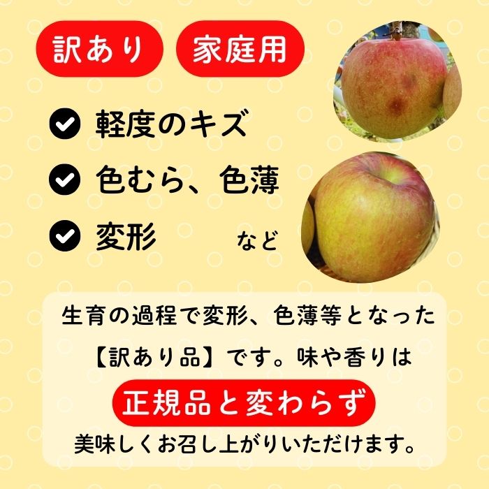 【ふるさと納税】＜2025年先行予約＞信州 りんご【訳あり】規格外 秋映（あきばえ）選べる 3kg 5kg 10kg＜出荷開始：2025年10月上旬頃～10月中旬頃＞（7-A26-1-2-3)【 りんご フルーツ 長野県 飯山市 規格外 ギフト プレゼント 記念日 誕生日 記念品 秋映 あきばえ 】 サムネイル2