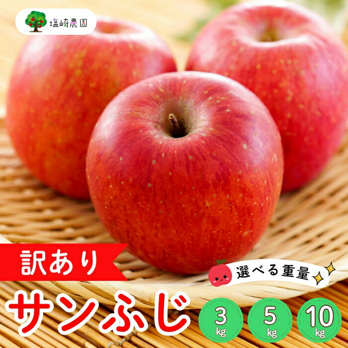 【先行予約】【訳あり】サンふじ 信州 りんご選べる3kg 5kg 10kg ＜出荷時期：2025年12月中旬ごろ〜＞（2025年産） (7-A39-1-2-3)【 りんご フルーツ 長野県 飯山市 甘味 酸味 リンゴ 林檎 くだもの 果物 ギフト プレゼント わけあり 訳あり 規格外 】
