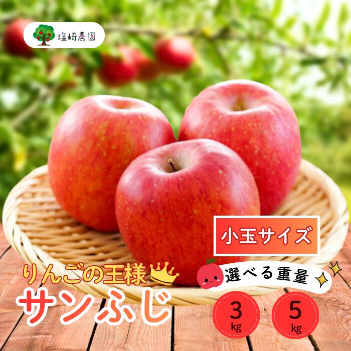 【先行予約】サンふじ 小玉 信州 りんご 選べる 3kg 5kg ＜出荷時期：2025年12月中旬ごろ〜＞（2025年産） (7-A42-1-2)【 りんご フルーツ 長野県 飯山市 甘味 酸味 リンゴ 林檎 くだもの 果物 ギフト プレゼント 】