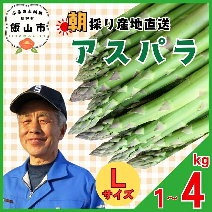 ＼アスパラガス／ 先行予約 朝採り! 露地栽培 アスパラガス L級サイズ 1kg《出荷時期：2026年5月〜》【長野県 飯山市 信州産 おかず 夕食 肉巻き バーベキュー 春アスパラ 露地栽培 朝採れ 野菜 新鮮 農家直送 産地直送 送料無料 旬野菜 】(Bu)