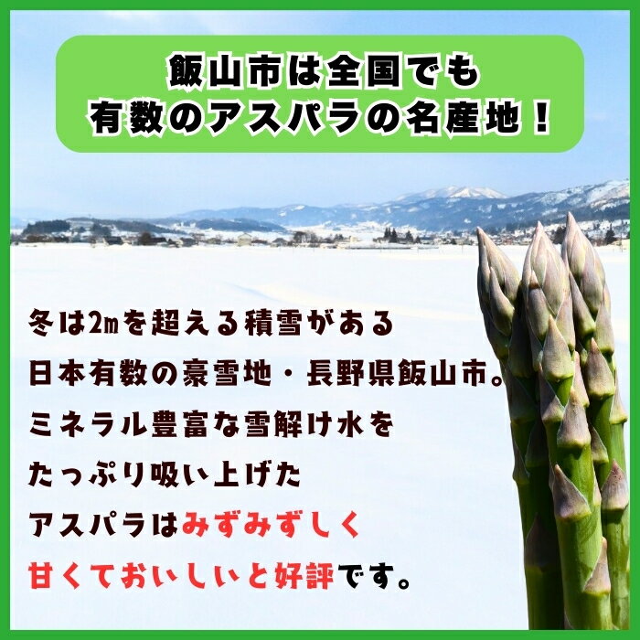 【ふるさと納税】 ＼アスパラガス／ 先行予約 朝採り! 露地栽培 アスパラガス L級サイズ 1kg《出荷時期：2026年5月〜》【長野県 飯山市 信州産 おかず 夕食 肉巻き バーベキュー 春アスパラ 露地栽培 朝採れ 野菜 新鮮 農家直送 産地直送 送料無料 旬野菜 】(Bu) - 画像2