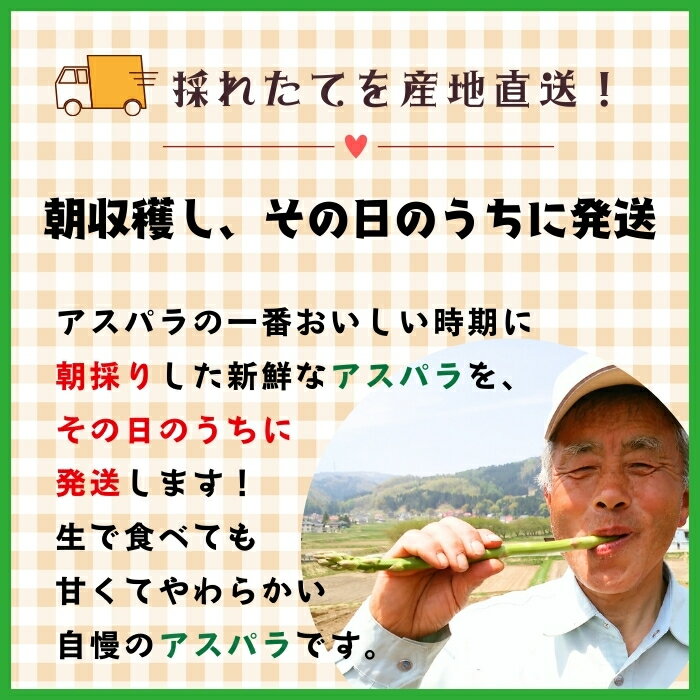 【ふるさと納税】 ＼アスパラガス／ 先行予約 朝採り! 露地栽培 アスパラガス L級サイズ 1kg《出荷時期：2026年5月〜》【長野県 飯山市 信州産 おかず 夕食 肉巻き バーベキュー 春アスパラ 露地栽培 朝採れ 野菜 新鮮 農家直送 産地直送 送料無料 旬野菜 】(Bu) - 画像3