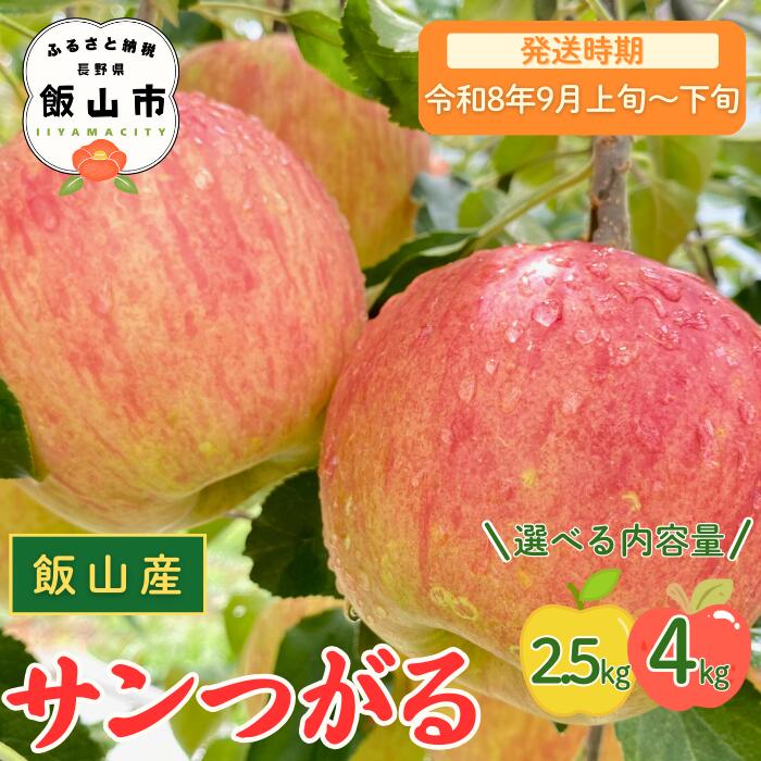 2026年 先行予約 ＼ サンつがる／ 選べる 2.5kg / 4kg 長野県産 ＜出荷開始：2026年9月上旬〜 【 りんご リンゴ 林檎 フルーツ 果物 信州 津軽 つがる ツガル 産地直送 新鮮 オススメ 美味しい 長野県 飯山市 】（At）