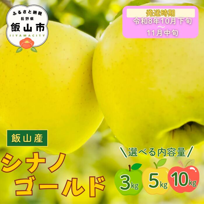 2026年 先行予約 ＼ シナノゴールド／ 選べる 3kg / 5kg / 10kg 長野県産 ＜出荷開始：2026年10月下旬頃〜11月中旬頃＞【 りんご リンゴ 林檎 ゴールド フルーツ 果物 くだもの 信州 甘い 産地直送 新鮮 オススメ 美味しい 長野県 飯山市 】(At）