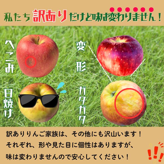 【ふるさと納税】2026年 先行予約 ＼ 訳あり 秋映 （あきばえ）／ 選べる 3kg / 5kg /10kg 長野県産 ＜出荷開始：2026年10月上旬頃〜中旬頃＞【 りんご リンゴ 林檎 フルーツ 果物 信州 規格外 B品 産地直送 新鮮 オススメ 美味しい 長野県 飯山市 】（At) - 画像3