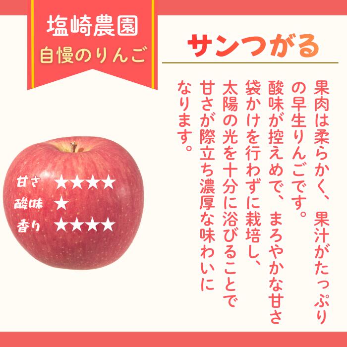 【ふるさと納税】2026年 先行予約 ＼ サンつがる／ 選べる 2.5kg / 4kg 長野県産 ＜出荷開始：2026年9月上旬〜 【 りんご リンゴ 林檎 フルーツ 果物 信州 津軽 つがる ツガル 産地直送 新鮮 オススメ 美味しい 長野県 飯山市 】（At） - 画像2