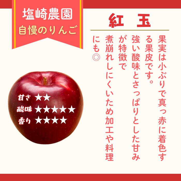 【ふるさと納税】2026年 先行予約 ＼ 紅玉／ 2〜2.5kg / 8〜14玉 ＜出荷開始：2026年10月上旬〜中旬頃＞ 【 りんご リンゴ 林檎 フルーツ 果物 信州 こうぎょく 産地直送 新鮮 オススメ 美味しい 長野県 飯山市 】(At-007) - 画像2