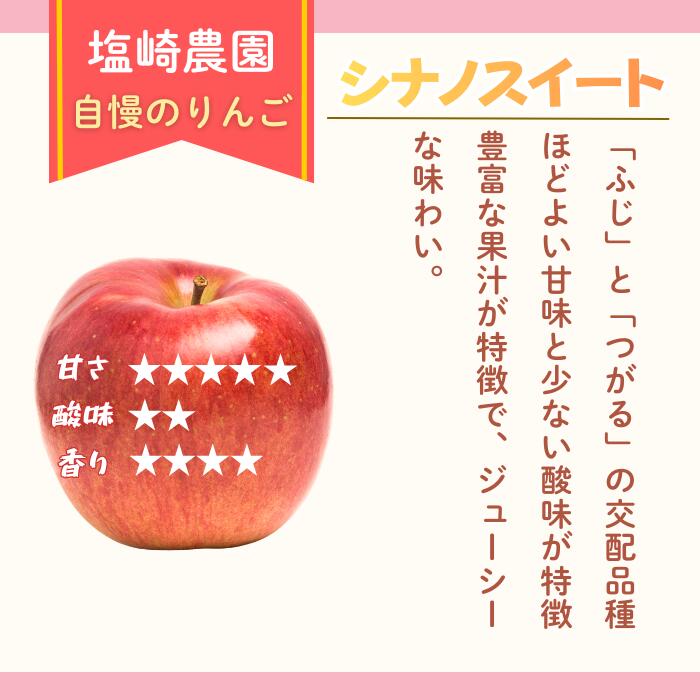 【ふるさと納税】2026年 先行予約 ＼ シナノスイート ／ 選べる 3kg / 5kg / 10kg ＜出荷開始：2026年10月中旬〜下旬頃＞ 【 りんご リンゴ 林檎 フルーツ 果物 信州 規格外 B品 産地直送 新鮮 オススメ 美味しい 甘い 長野県 飯山市 】(At) - 画像2