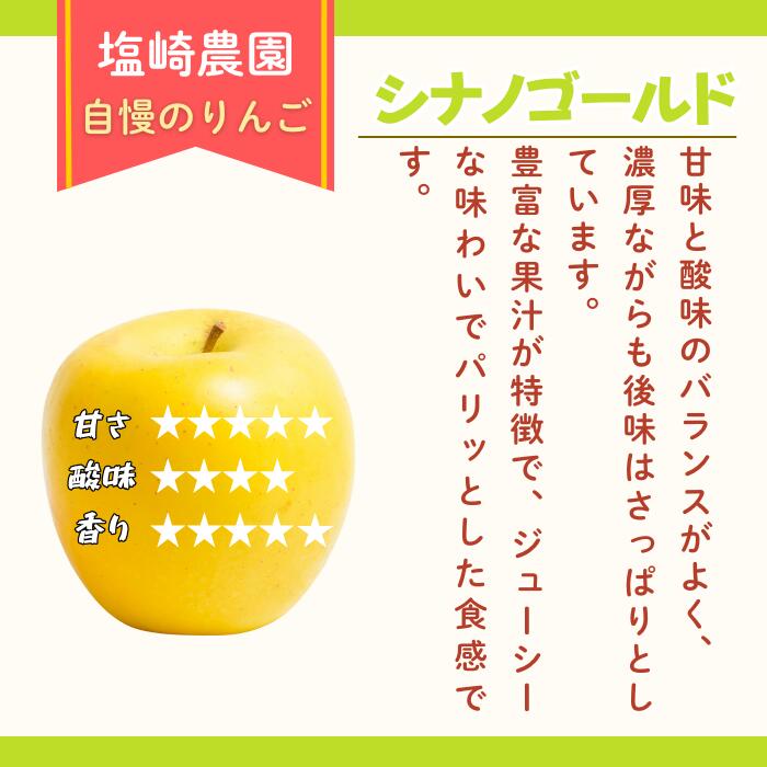 【ふるさと納税】2026年 先行予約 ＼ シナノゴールド／ 選べる 3kg / 5kg / 10kg 長野県産 ＜出荷開始：2026年10月下旬頃〜11月中旬頃＞【 りんご リンゴ 林檎 ゴールド フルーツ 果物 くだもの 信州 甘い 産地直送 新鮮 オススメ 美味しい 長野県 飯山市 】(At） - 画像2