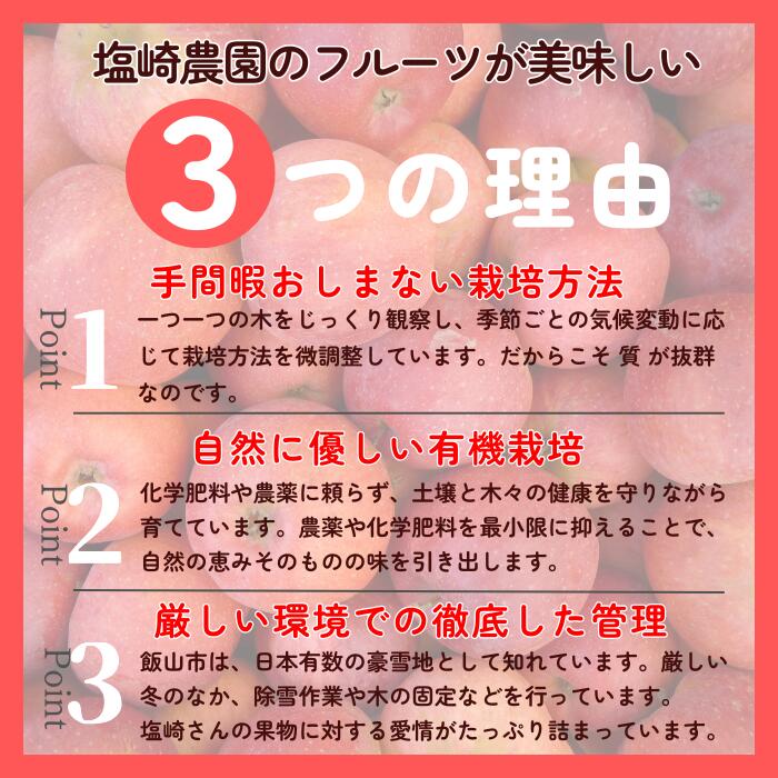 【ふるさと納税】2026年 先行予約 ＼ サンつがる／ 選べる 2.5kg / 4kg 長野県産 ＜出荷開始：2026年9月上旬〜 【 りんご リンゴ 林檎 フルーツ 果物 信州 津軽 つがる ツガル 産地直送 新鮮 オススメ 美味しい 長野県 飯山市 】（At） - 画像3