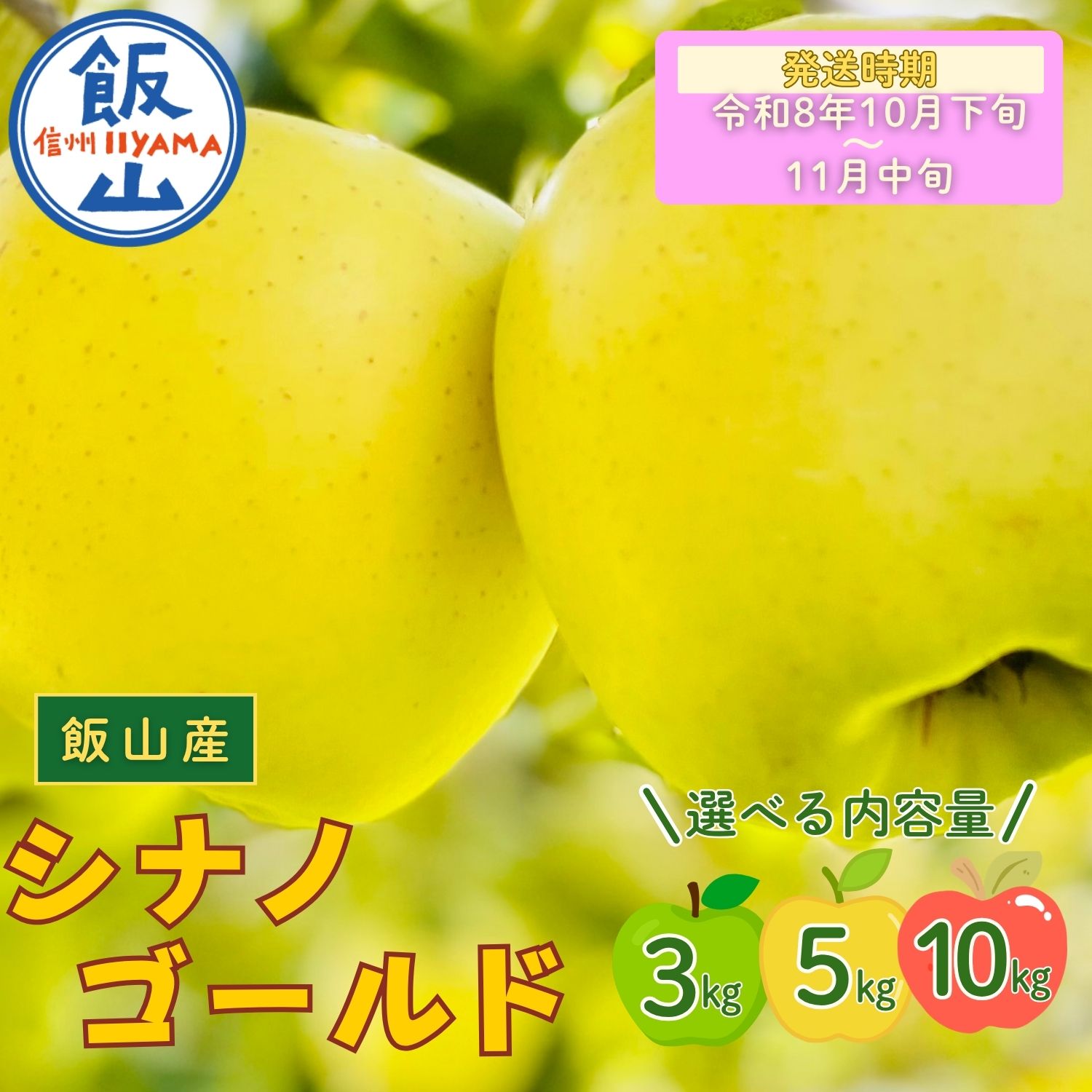 2026年 先行予約 ＼ シナノゴールド／ 選べる 3kg / 5kg / 10kg 長野県産 ＜出荷開始：2026年10月下旬頃〜11月中旬頃＞【 りんご リンゴ 林檎 ゴールド フルーツ 果物 くだもの 信州 甘い 産地直送 新鮮 オススメ 美味しい 長野県 飯山市 】(At）